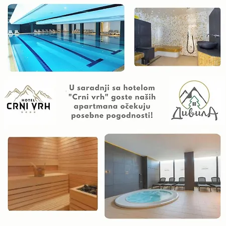 Divila Apartment Divcibare