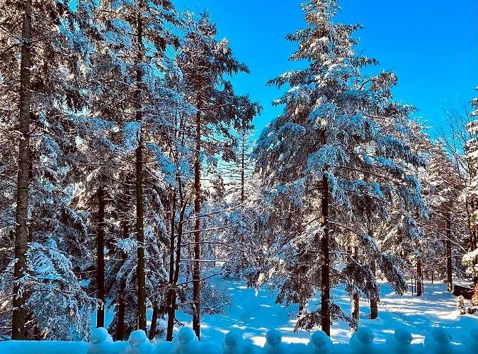 Divila アパート *